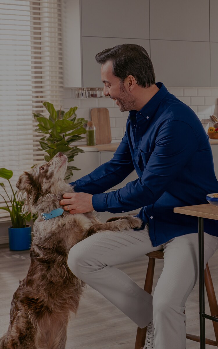 beko-dec-1-hero-mobile