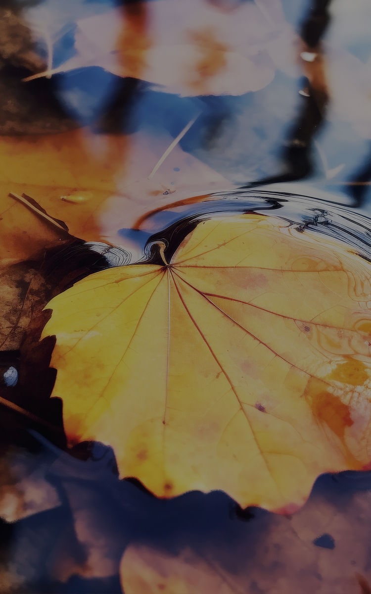 BEKO_blogcontent24NOV04_750x1200