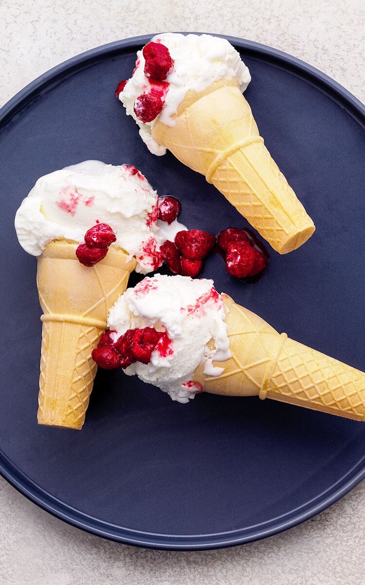 Honey Frozen Yoghurt