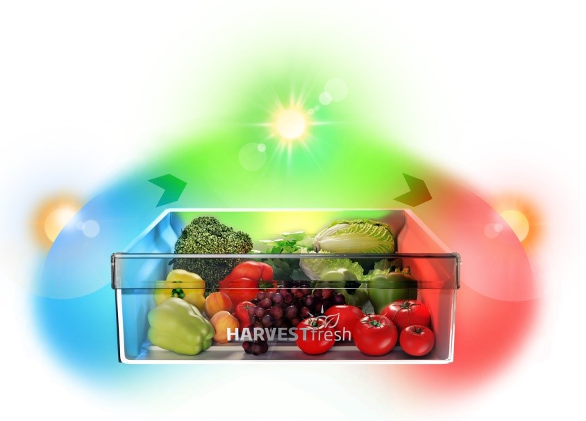 Harvest-Fresh