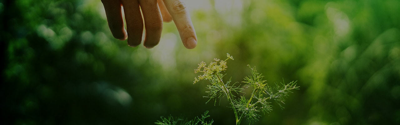 Sustainable and better future for all