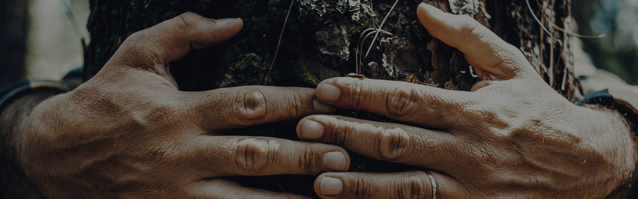 Umweltfreundliches und energiesparendes Zuhause