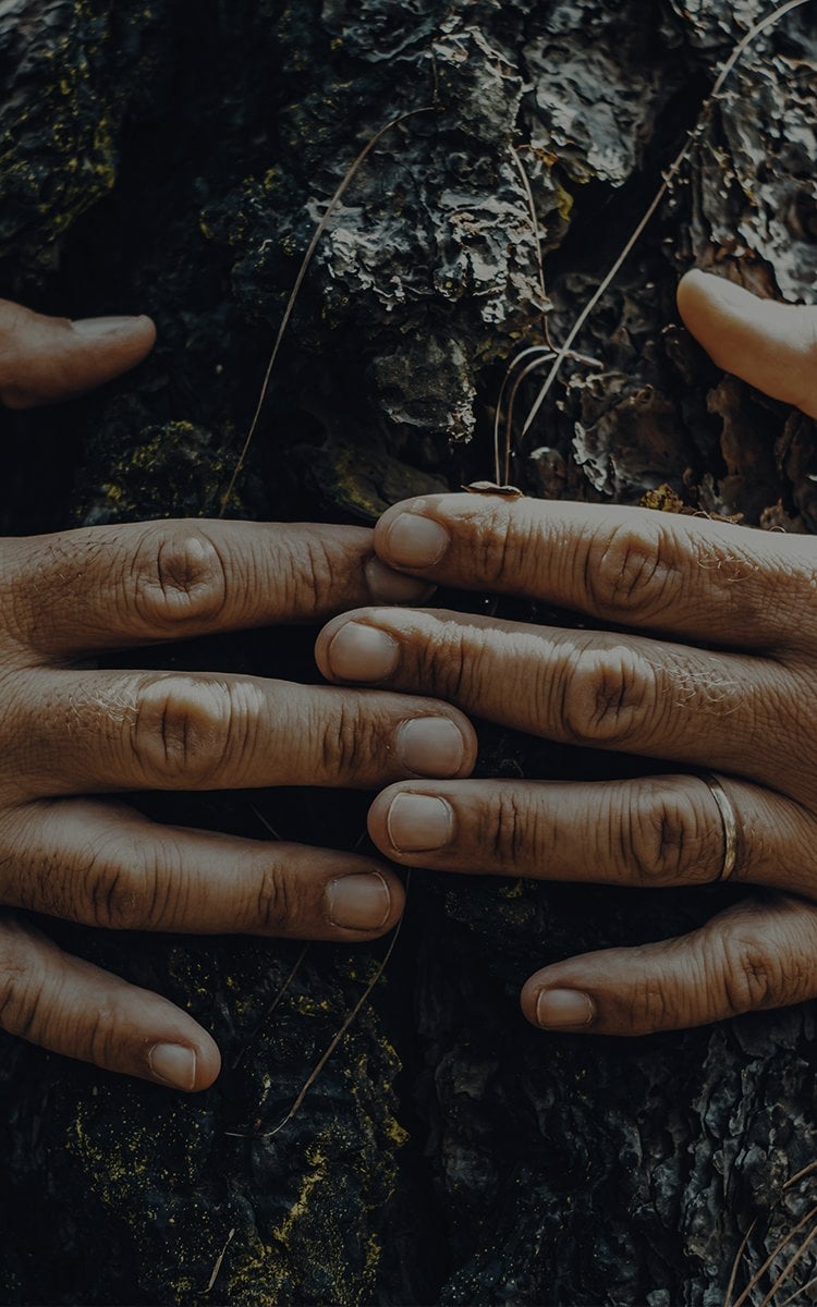 Umweltfreundliches und energiesparendes Zuhause