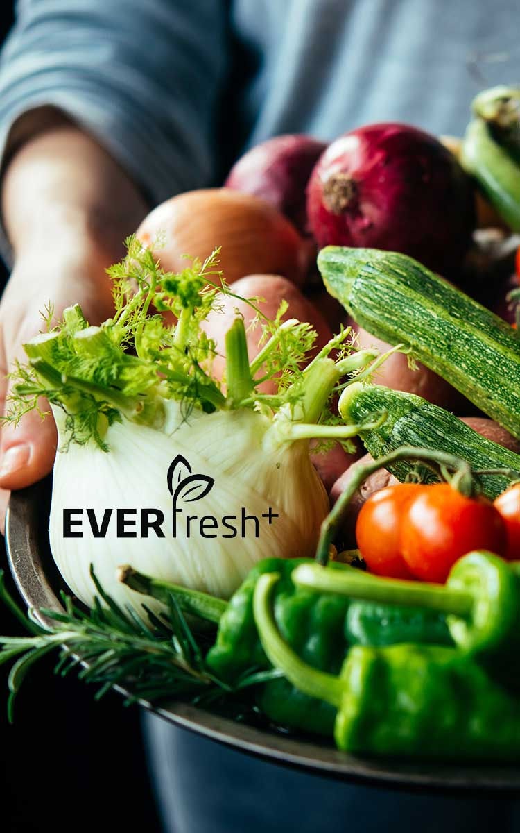 banner-everfresh-plus-mobile