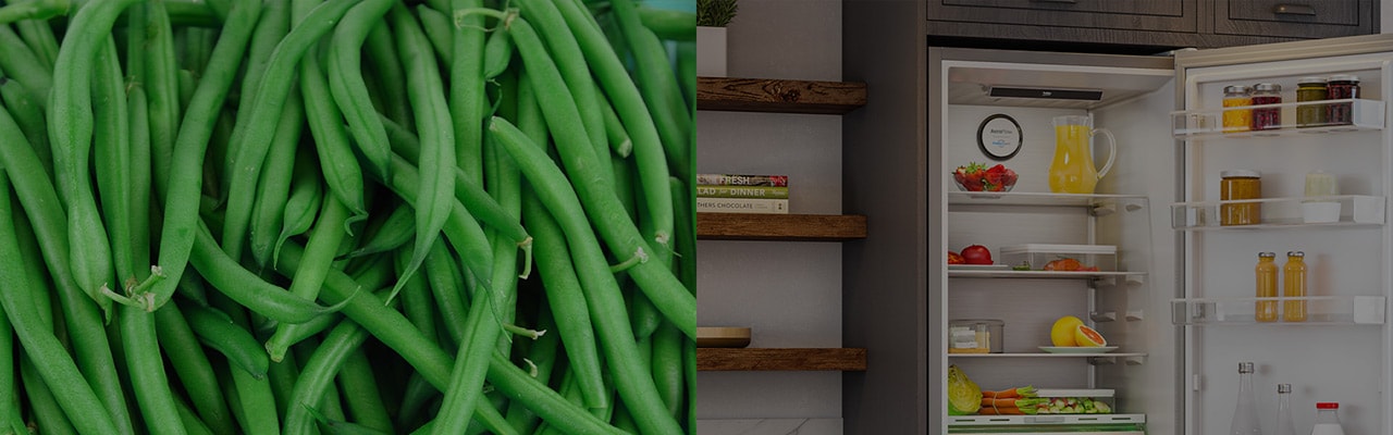 Beko Refrigerator with Aeroflow technology; inspiration right from nature herself