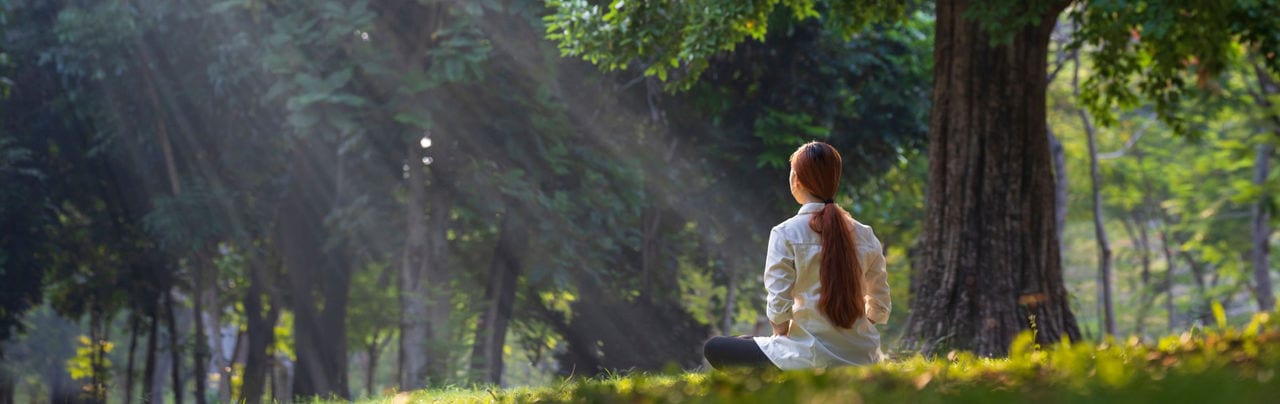 vida-equilibrada-desktop vida-equilibrada-desktop