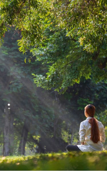 vida-equilibrada-mobile vida-equilibrada-mobile