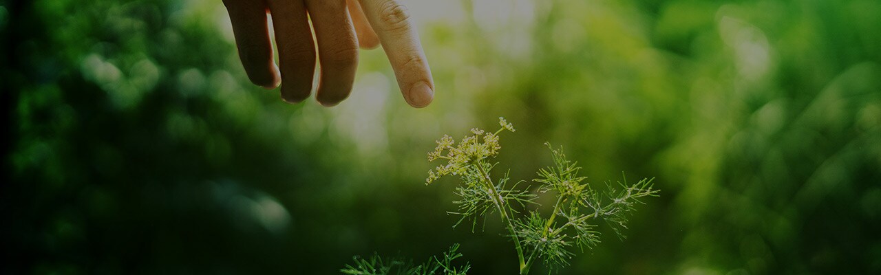 Sustainable and better future for all