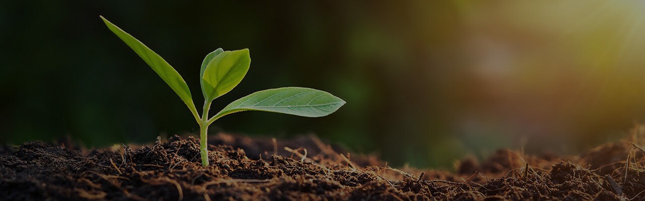 One world, one future, one hour