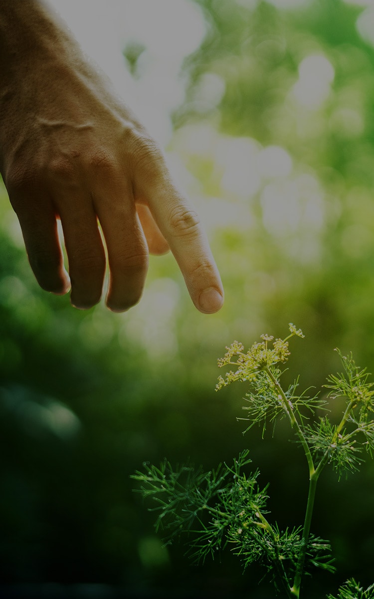 Sustainable and better future for all