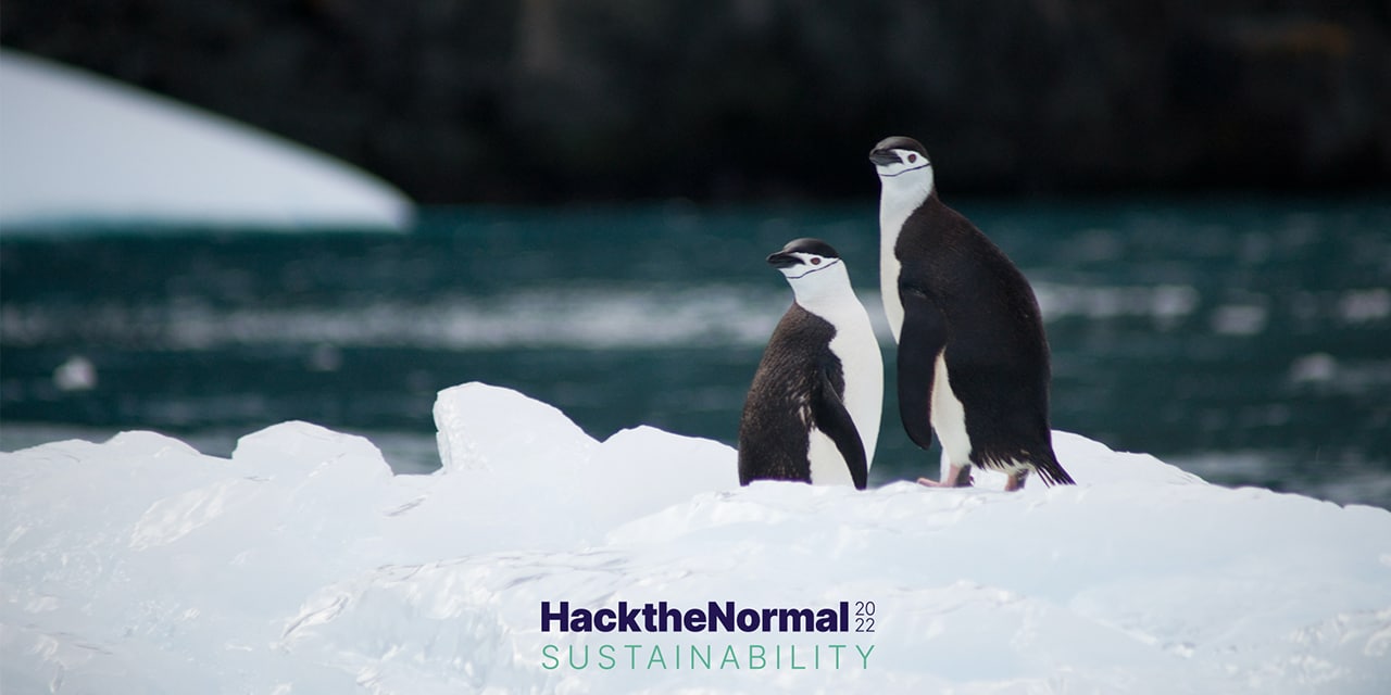 Beko per Hack The Normal