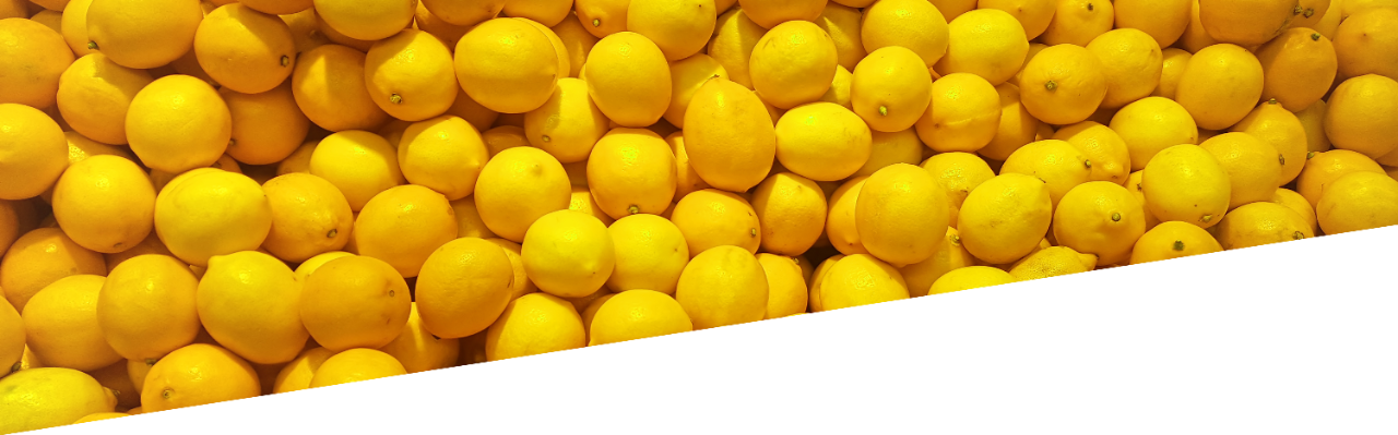 carousel lemon - desktop