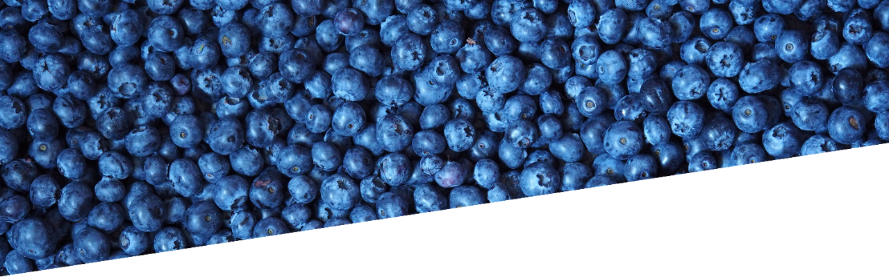 carousel blueberries - desktop