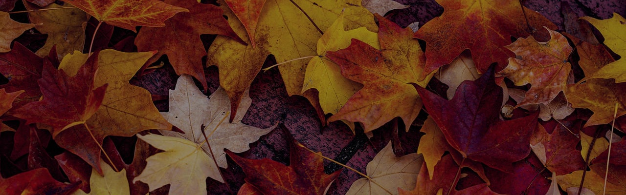 BEKO_blogcontent24SEPT01_1920x600
