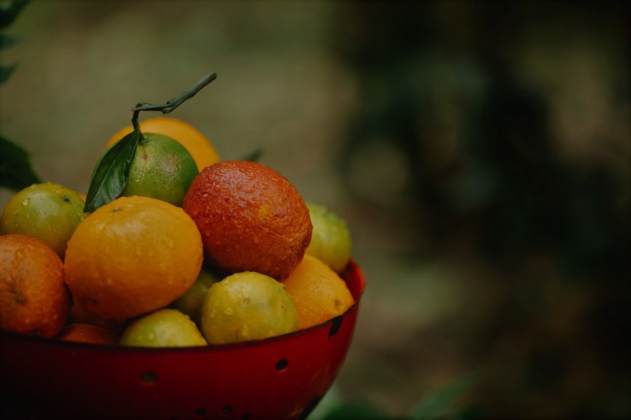 buy-refrigerator-for-food-during-rainy-season