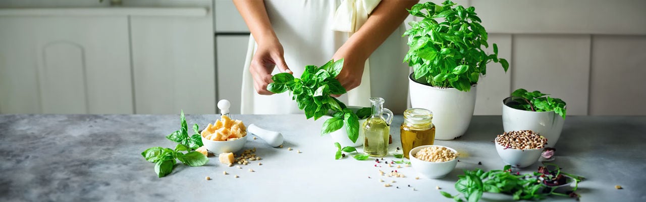 plante_aromatice_header_desktop