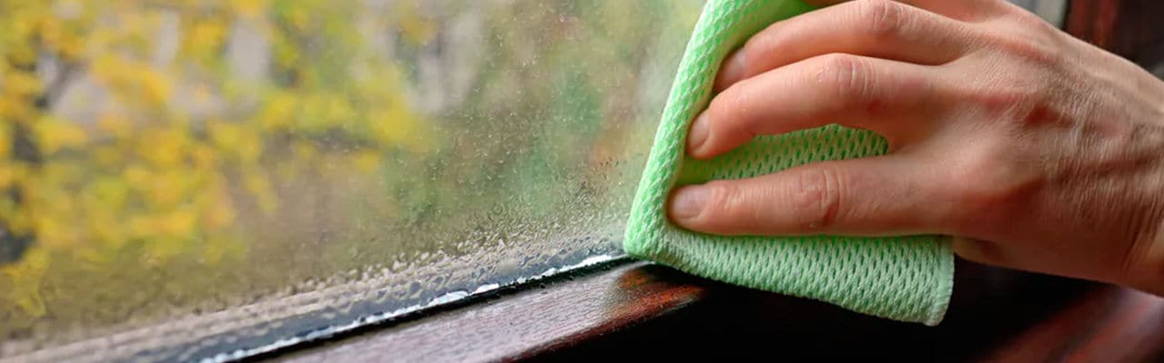 cum mentii umiditatea optima in casa