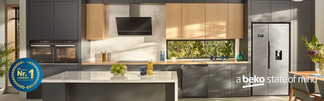 Beko, de la compania numarul 1 in Europa