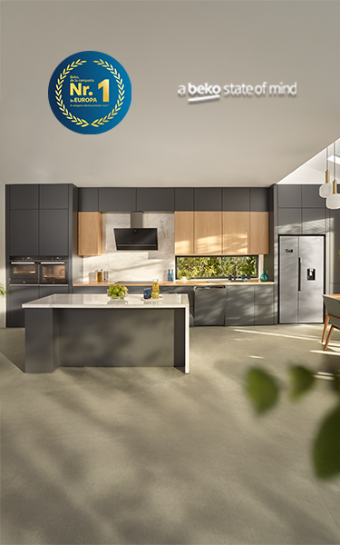 Beko, de la compania numarul 1 in Europa