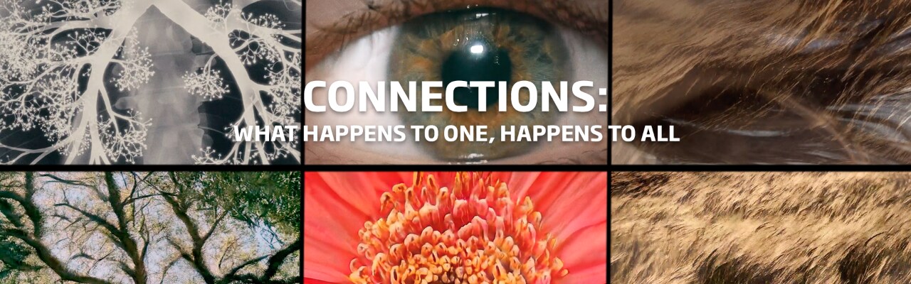 Beko connections desktop EN