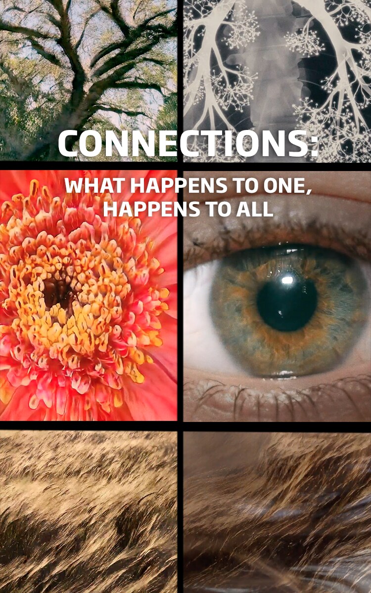 Beko connections mobile EN