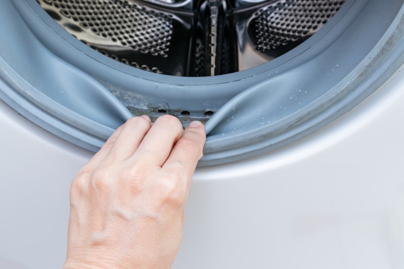 mouldy washing machine seals