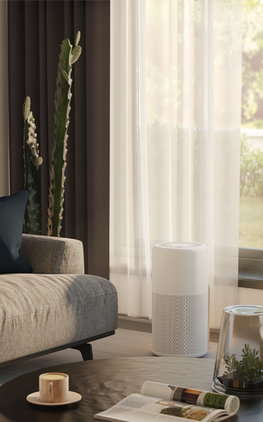 Passive window air purifier deals