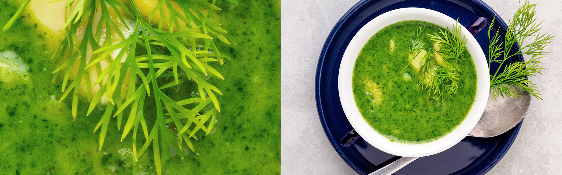 Broad Bean Soup