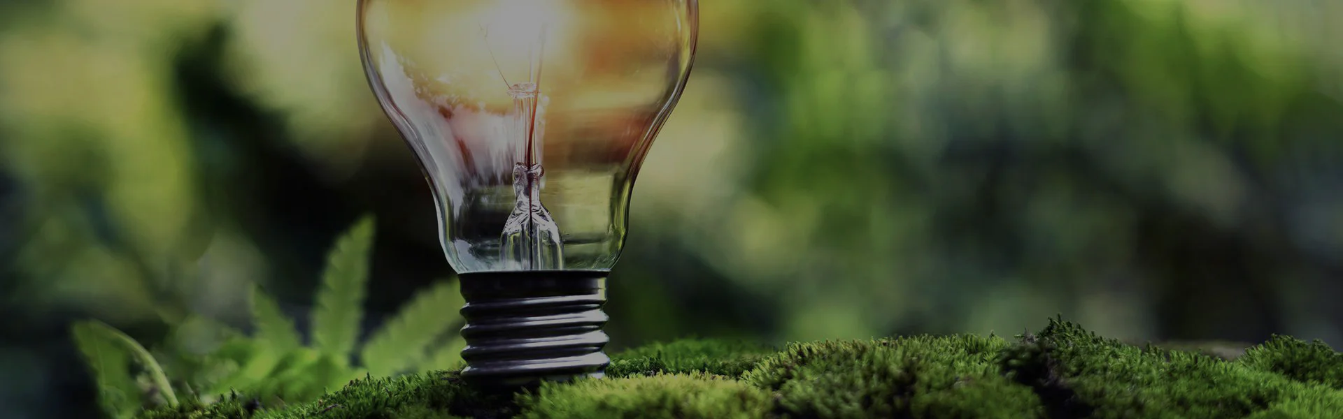 Möglichkeiten deine Stromrechnung in diesem Winter zu senken