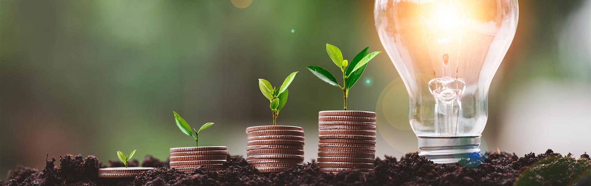 Súmate al ahorro de energía y descubre el nuevo etiquetado energético