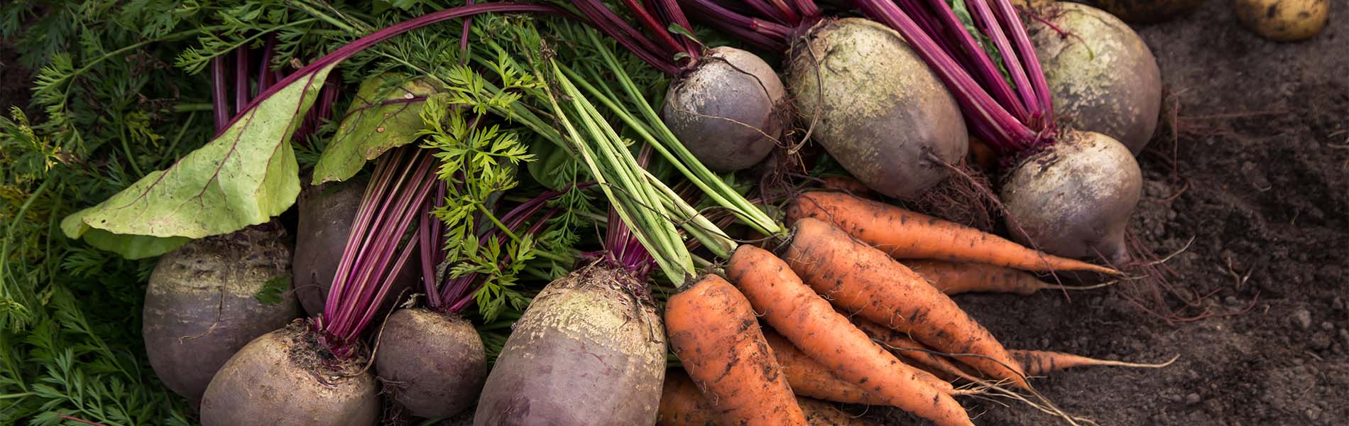 Los cinco alimentos que no pueden faltar en tu frigorífico durante la temporada de otoño