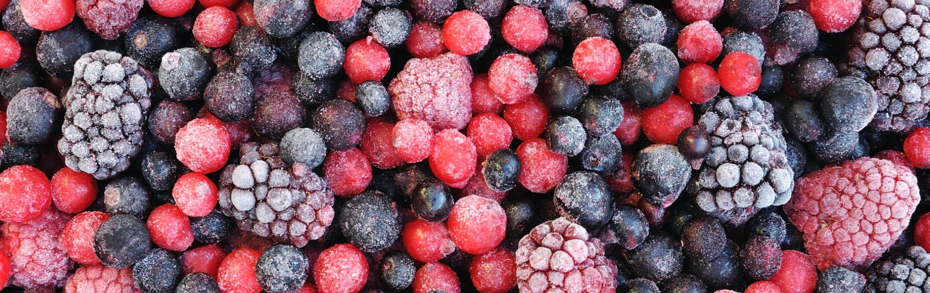 ¿Cómo congelar el calabacín? Paso a paso de cómo hacerlo