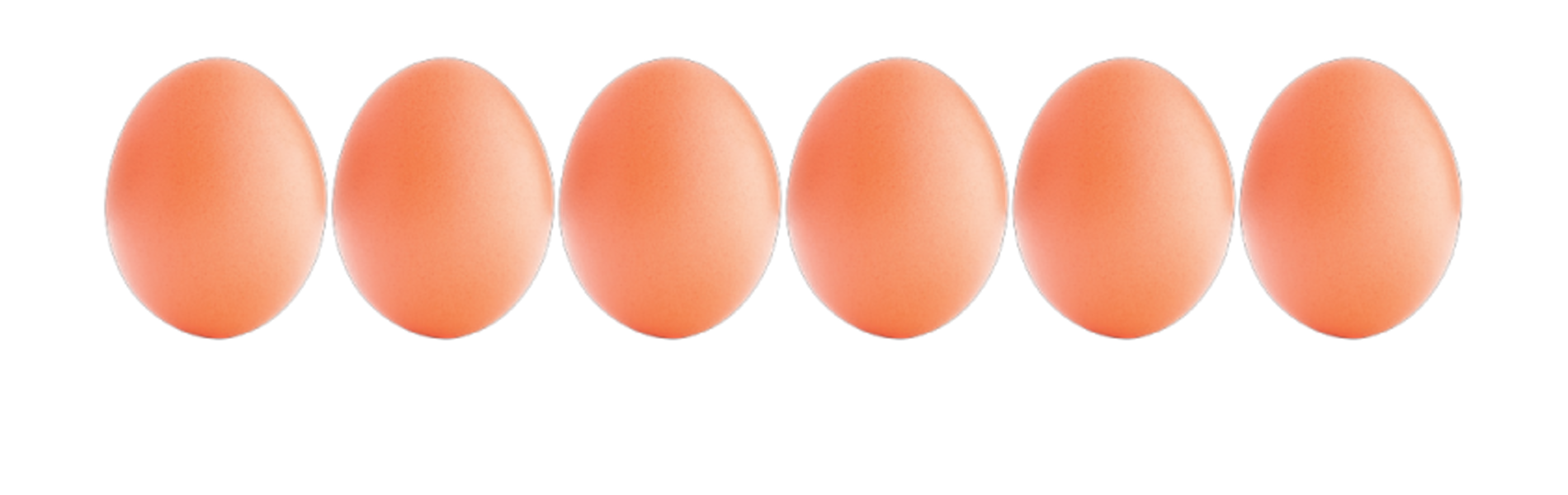¿Cuánto duran los huevos en la nevera?¿Cómo saber si están malos?