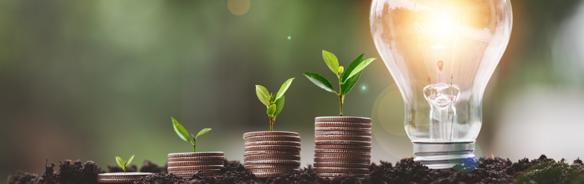 El nuevo "Pasaporte Digital de Producto": normativa 2026