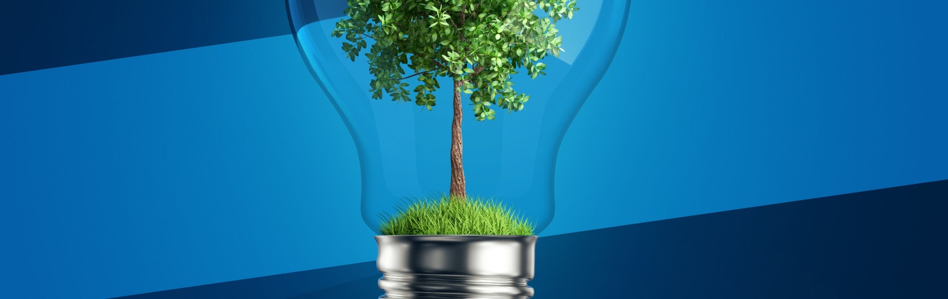 ¿Qué significa ser ecofriendly con los electrodomésticos?