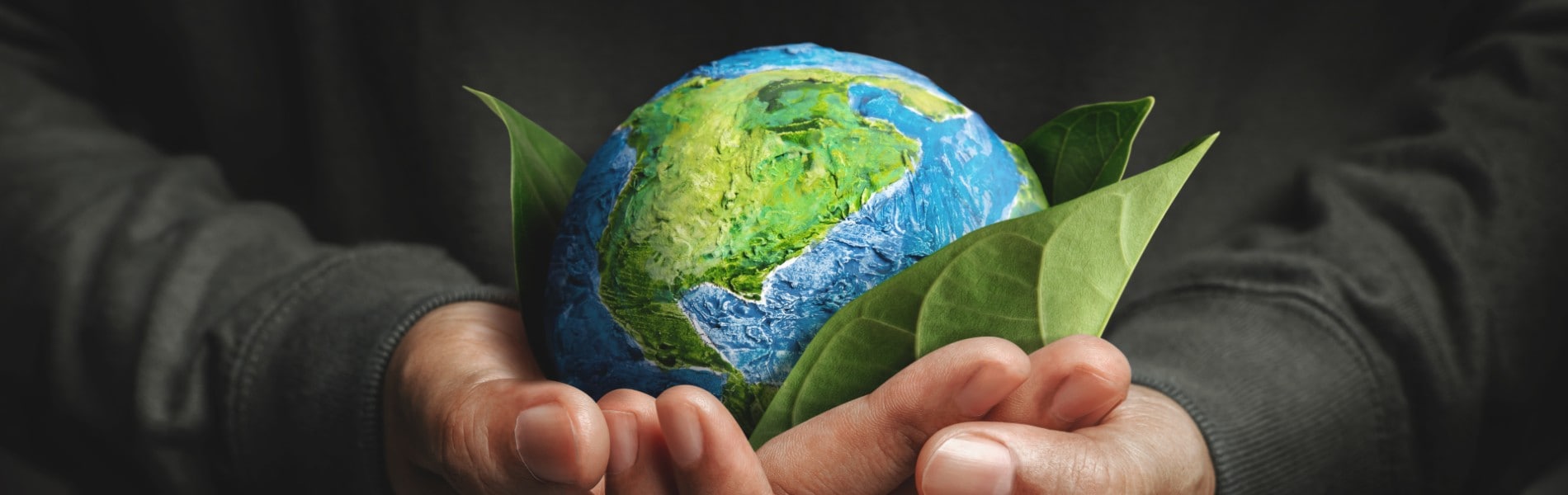 Reciclar materiales: consejos para un futuro sostenible