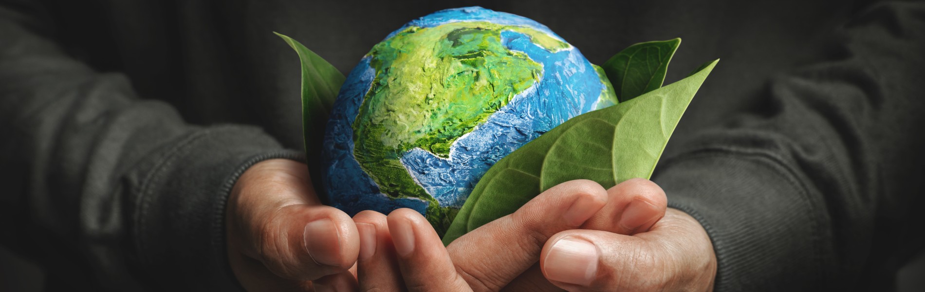 Zero Waste en la cocina