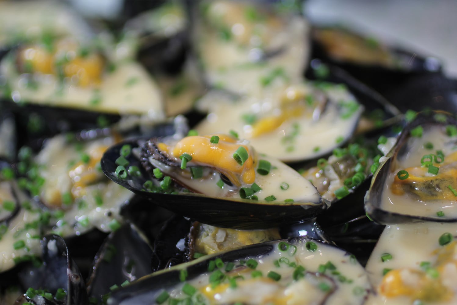 Mejillones al gorgonzola