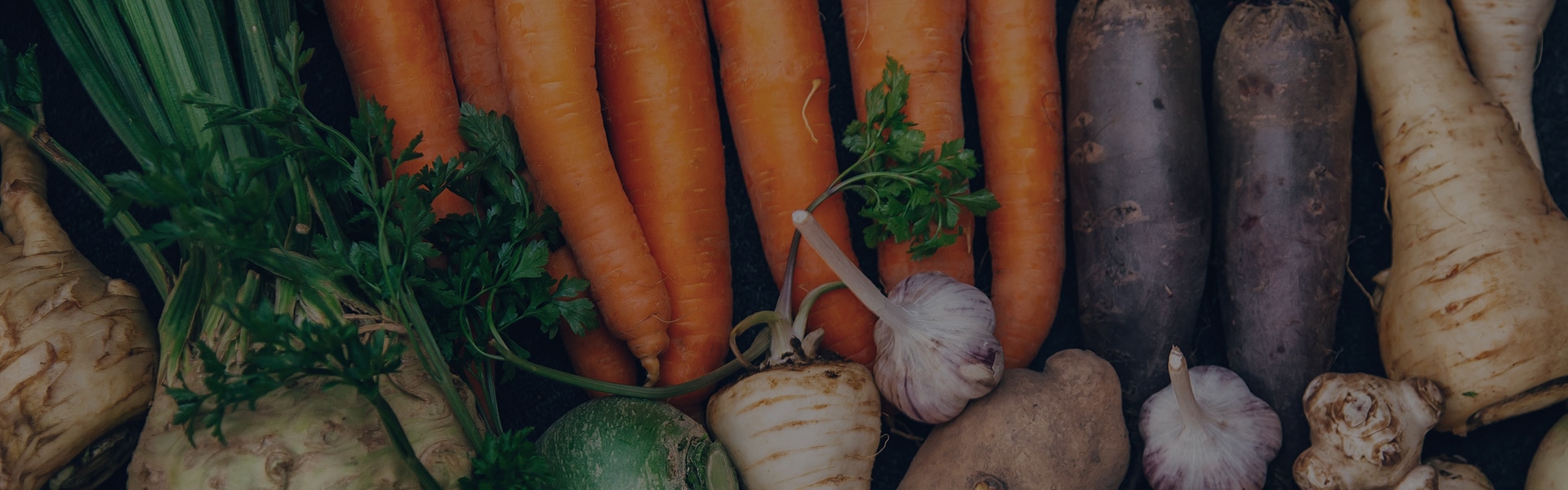 Receitas Sazonais para o Bem-Estar