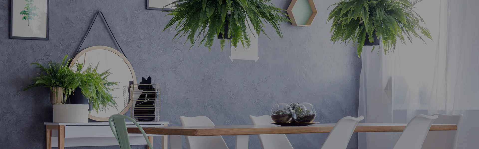 Natur im Homeoffice: Wie Zimmerpflanzen die Raumluft und Stimmung verbessern