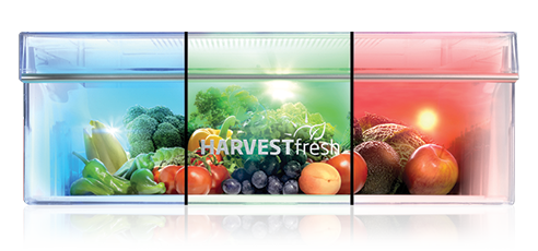 HarvestFresh – 3 kolory światła