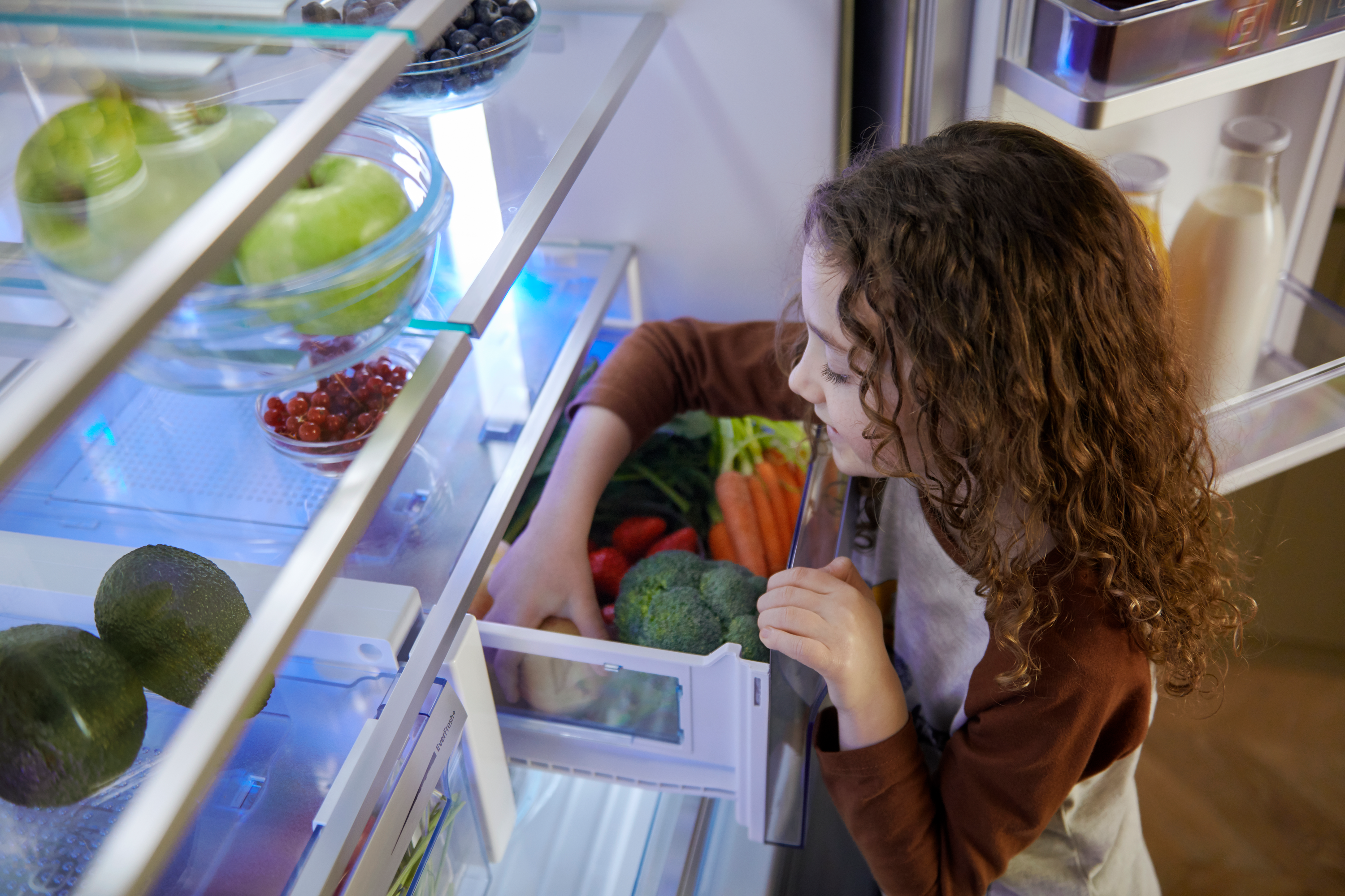Descubra quais os métodos de conservação de alimentos no frigorífico