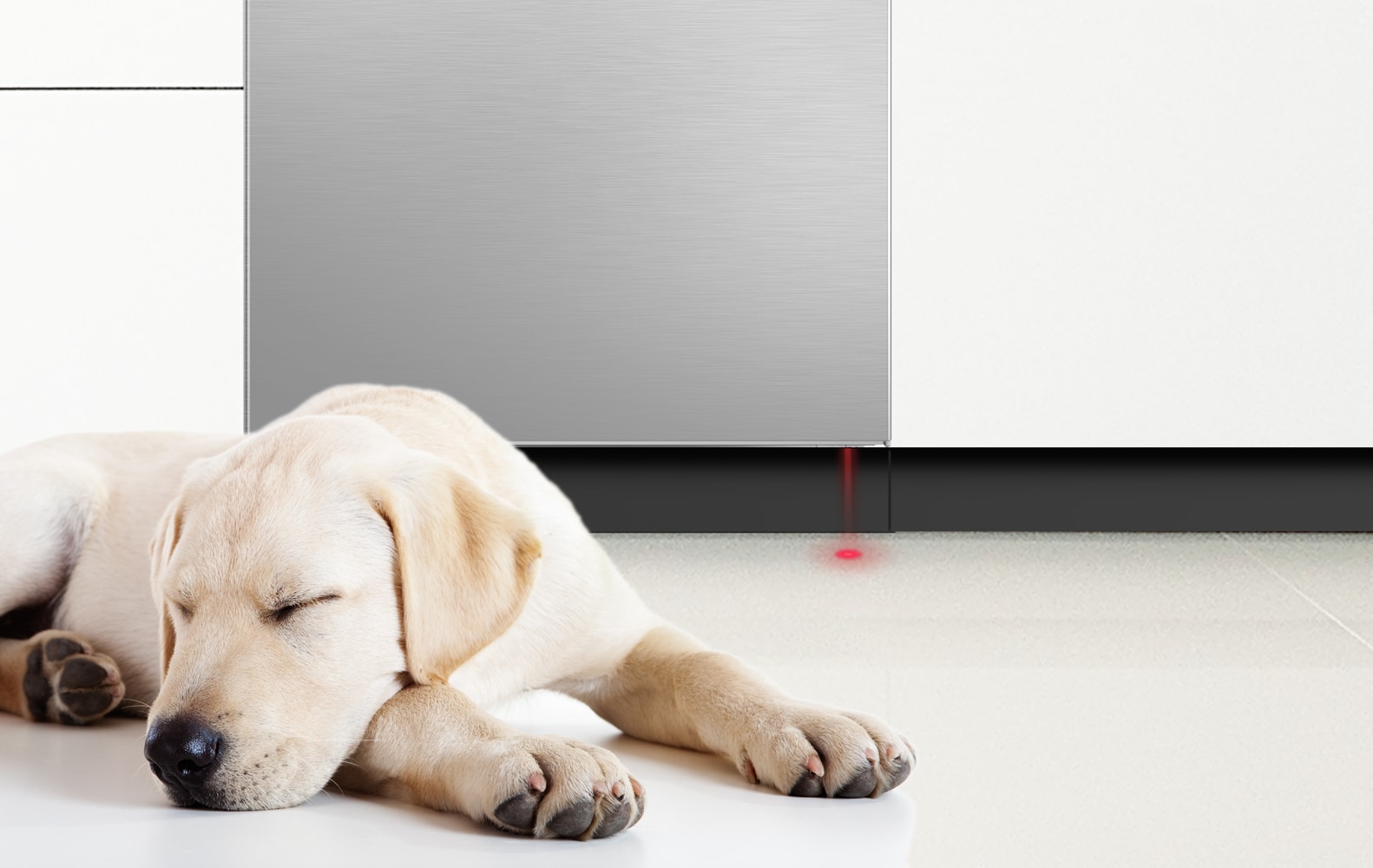 sleeping dog in front of dishwasher