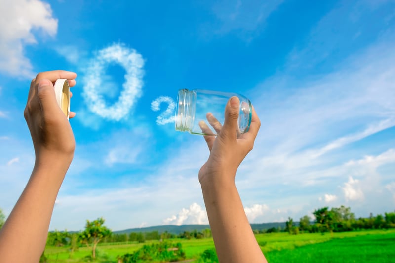 The Ultimate Guide to Indoor Air Purification: Transform Your Home into a Healthy Haven