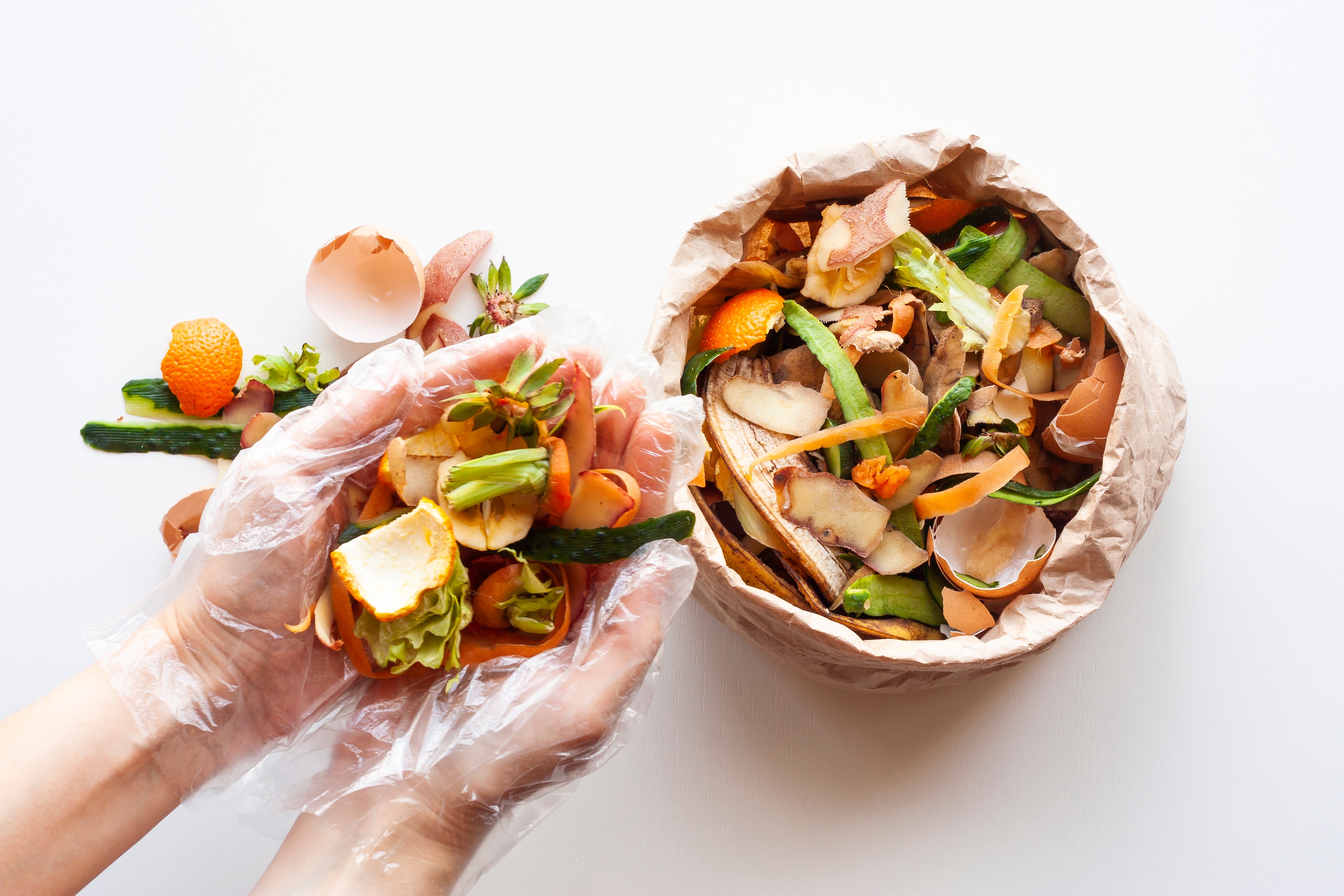 Tackling The Food Wastage Crisis