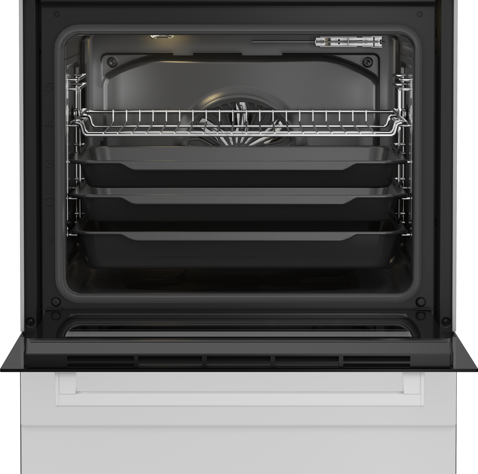 FBM67011GW