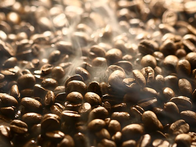 Bean to Cup