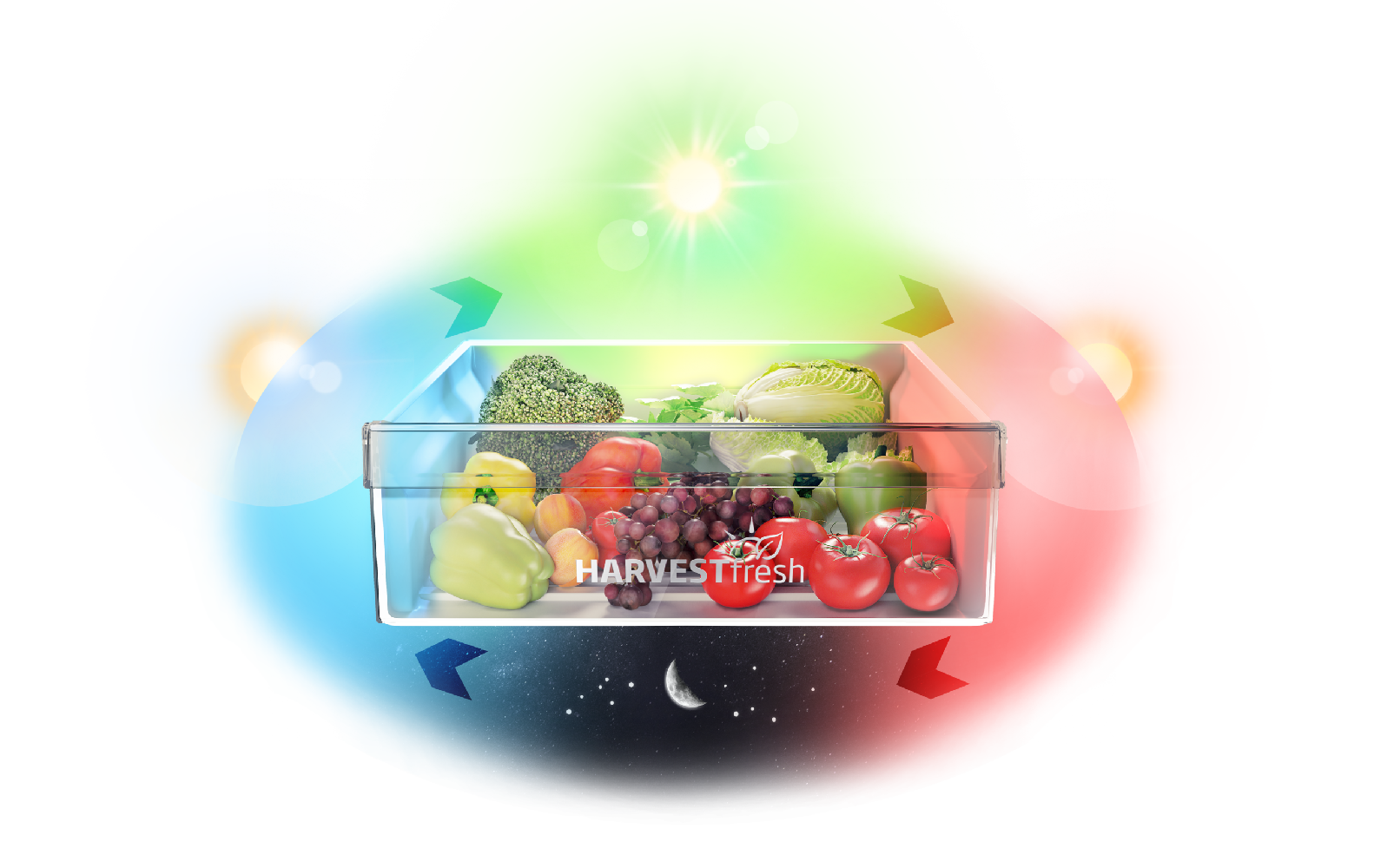 Холодильник Beko HarvestFresh B1RCNK402S - где купить, обзор и ...